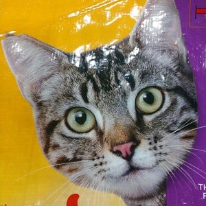 Meet your Posher, Anastacio